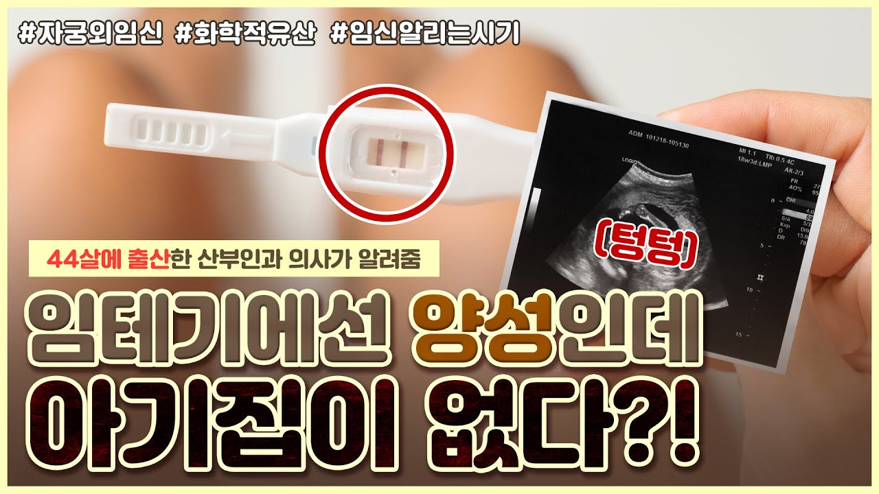임신 확인 방법 총정리🔥｜착상 실패? 자궁외임신? 😱｜임밍아웃 시기 추천해드립니다! - [노노산부인과 ep40]