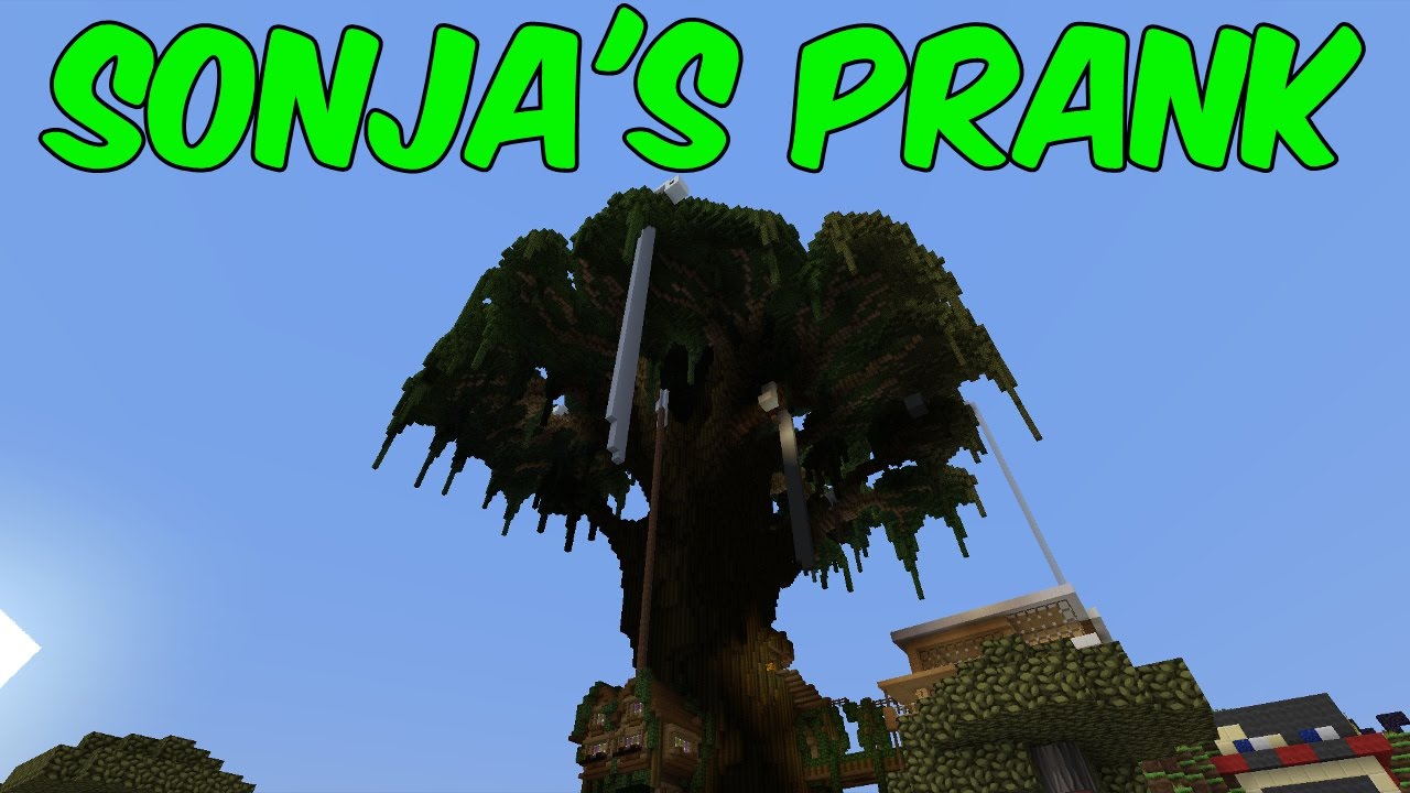 TP THE TREE! - Mianite (Day 82)