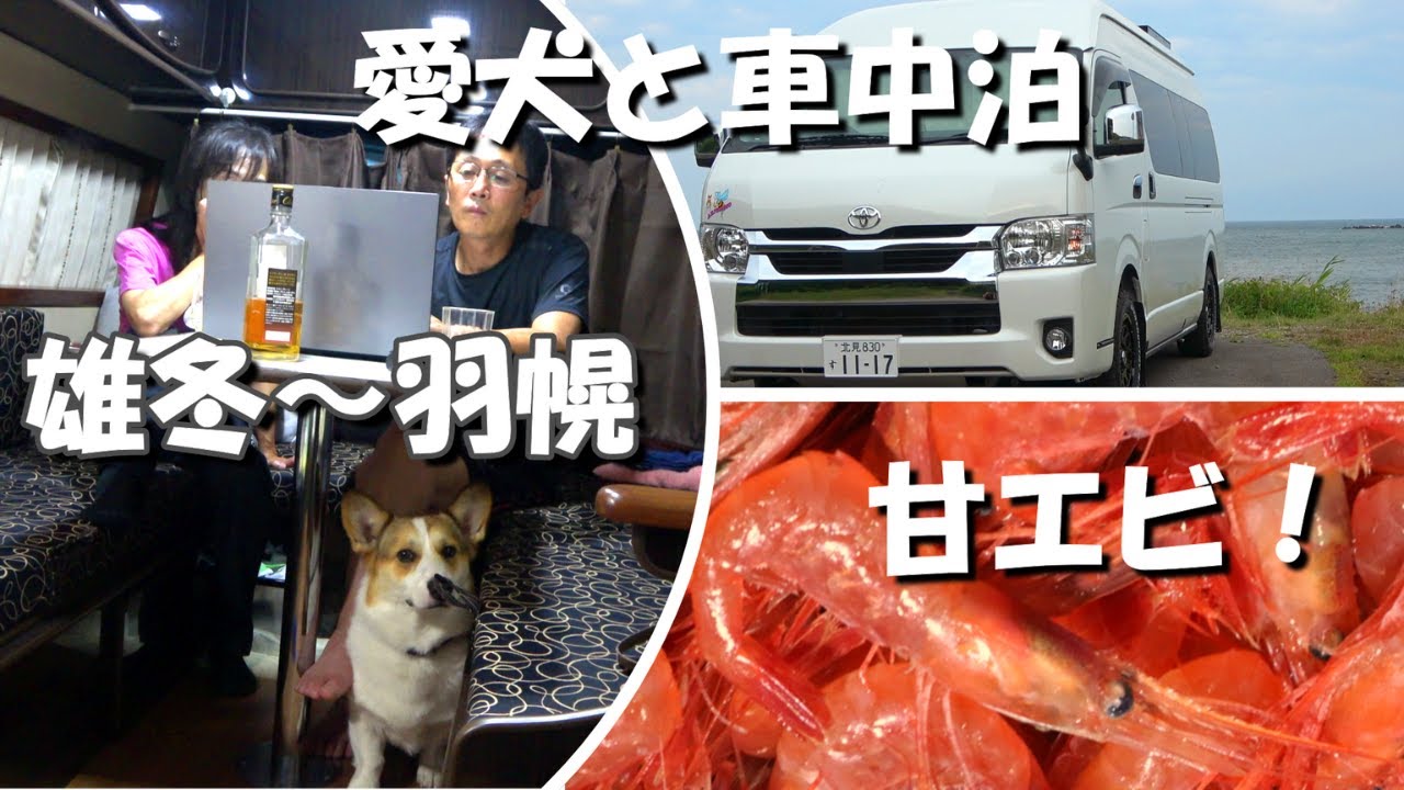 【北海道】雄冬～羽幌へ行って新鮮な甘エビで車中飯は甘エビ丼、雨で観光は駄目でも愛犬と最高の車中泊をするアラフィフ夫婦。