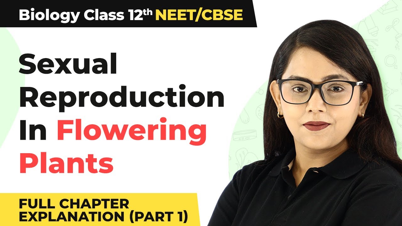 Class 12 Biology Ch 2|Sexual Reproduction In Flowering Plants Full Ch Explanation (Part 1) (2022-23)