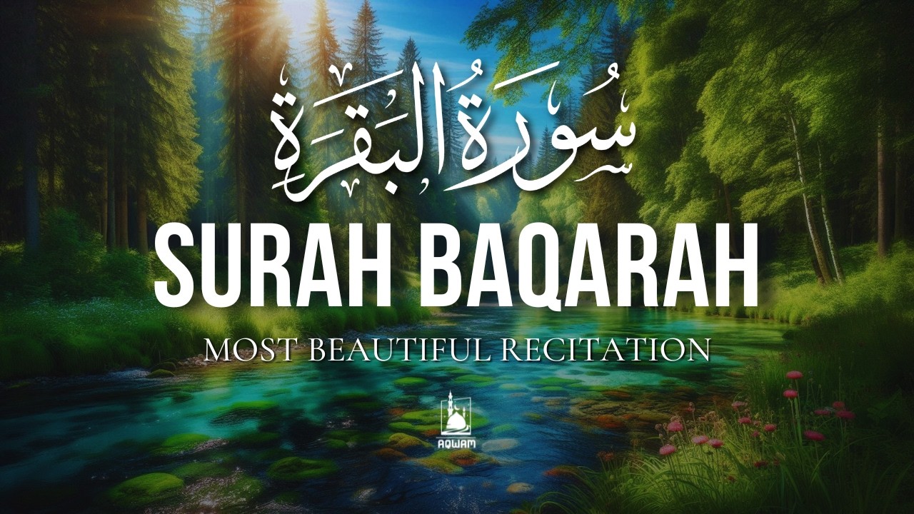 Surah Al Baqarah Full سورة البقرة | Calming Heart Touching Quran Recitation to Bring You Inner Peace