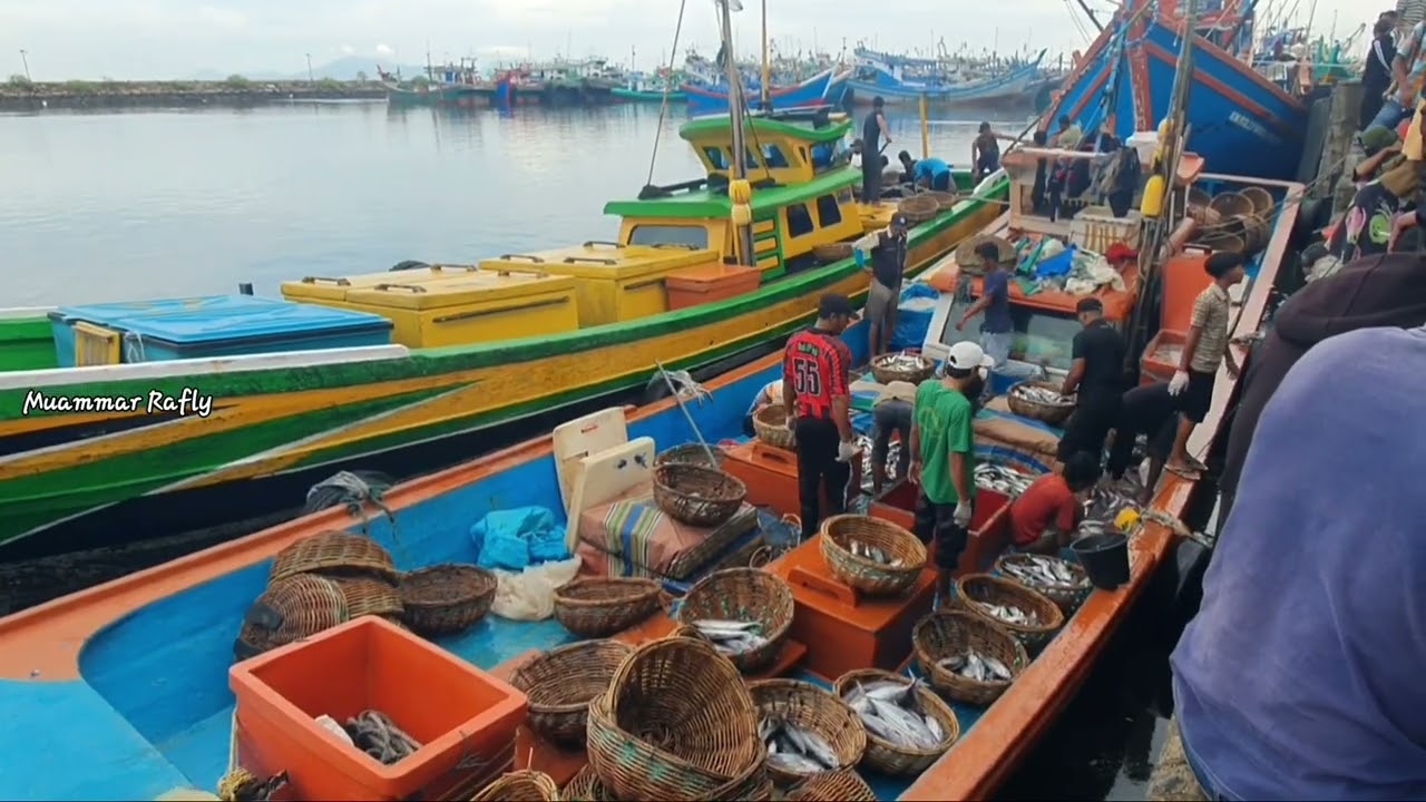 Proses bongkar ikan di TPI Lampulo Banda aceh, luar biasa hasil tangkapan Nelayan Indonesia