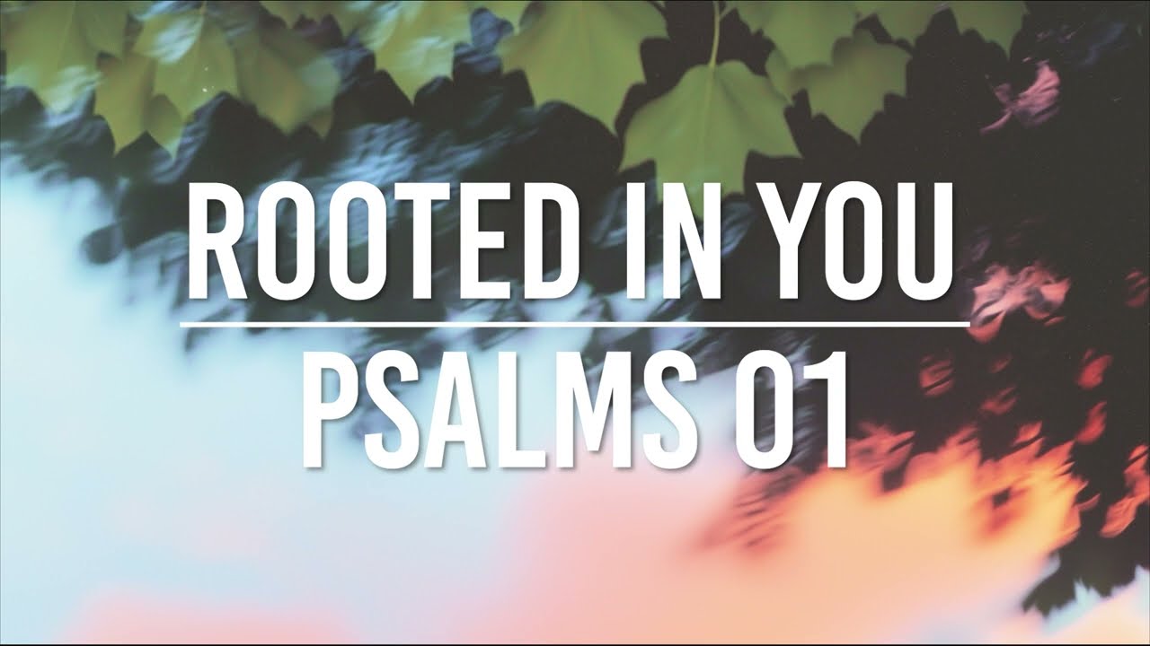 ROOTED IN YOU - PSALMS 01 | ANCHOR
