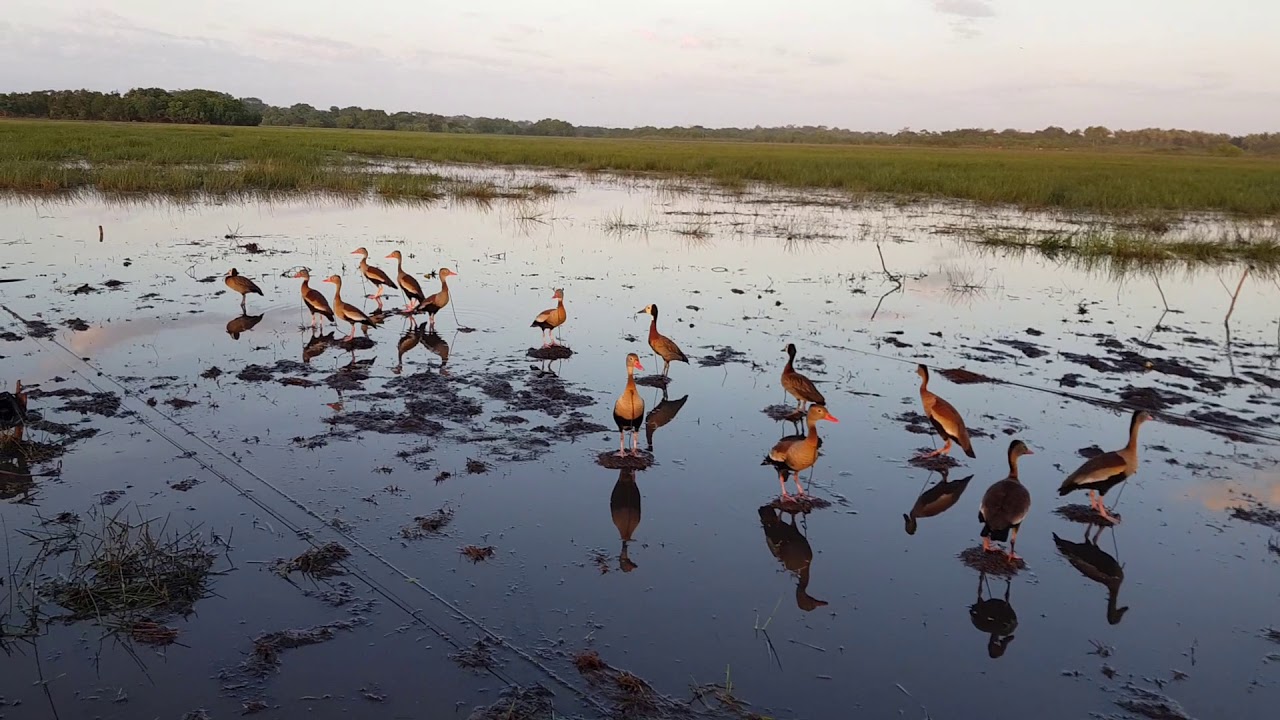 Amanhecendo no campo