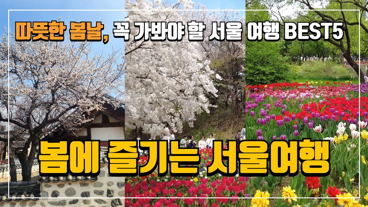 🌸 4월~5월 | 봄이 오면 꼭 가야 할 서울 당일치기 여행지 5곳 | 감성 카페, 한옥마을, 산책로