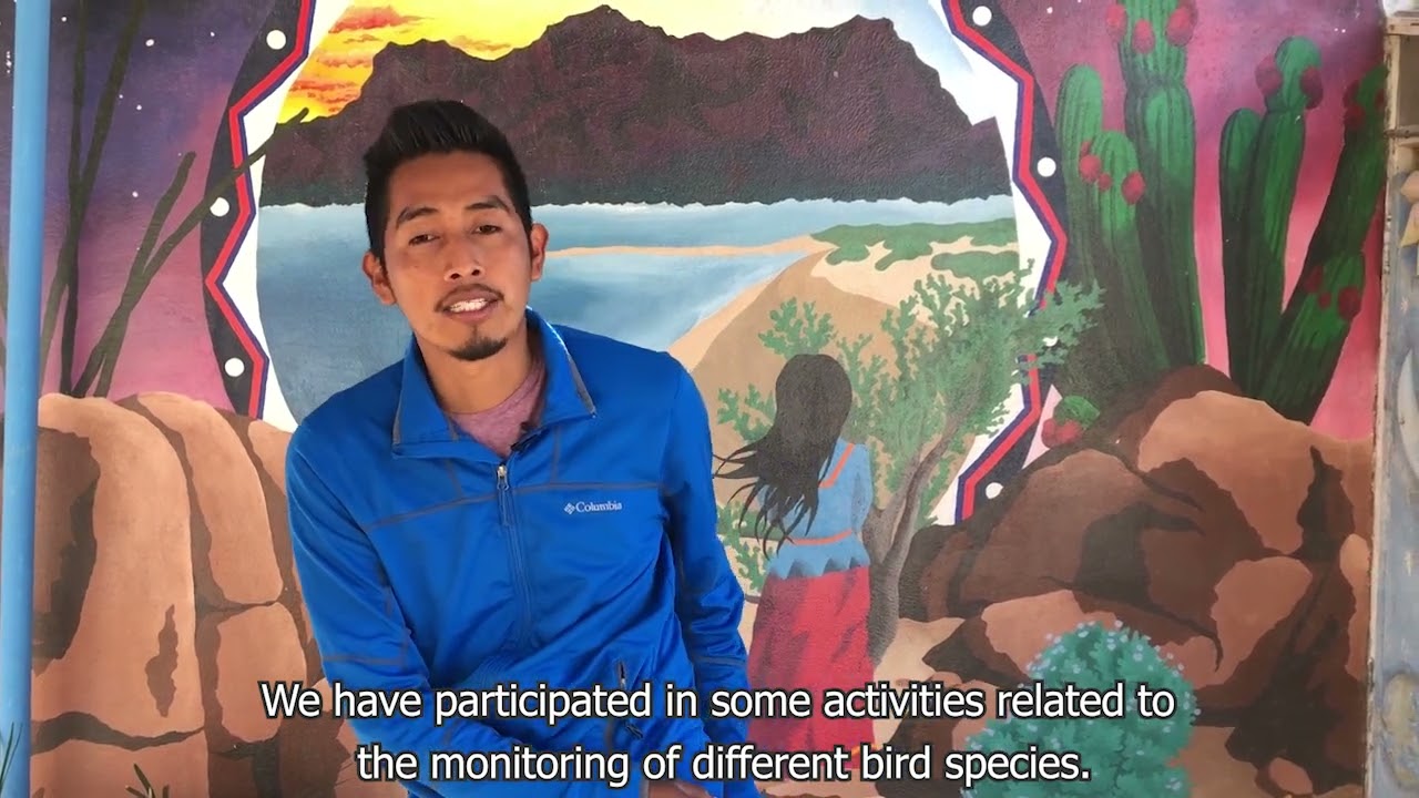 The Comcaac Community and Birds - La Comunidad Comcaac y las Aves
