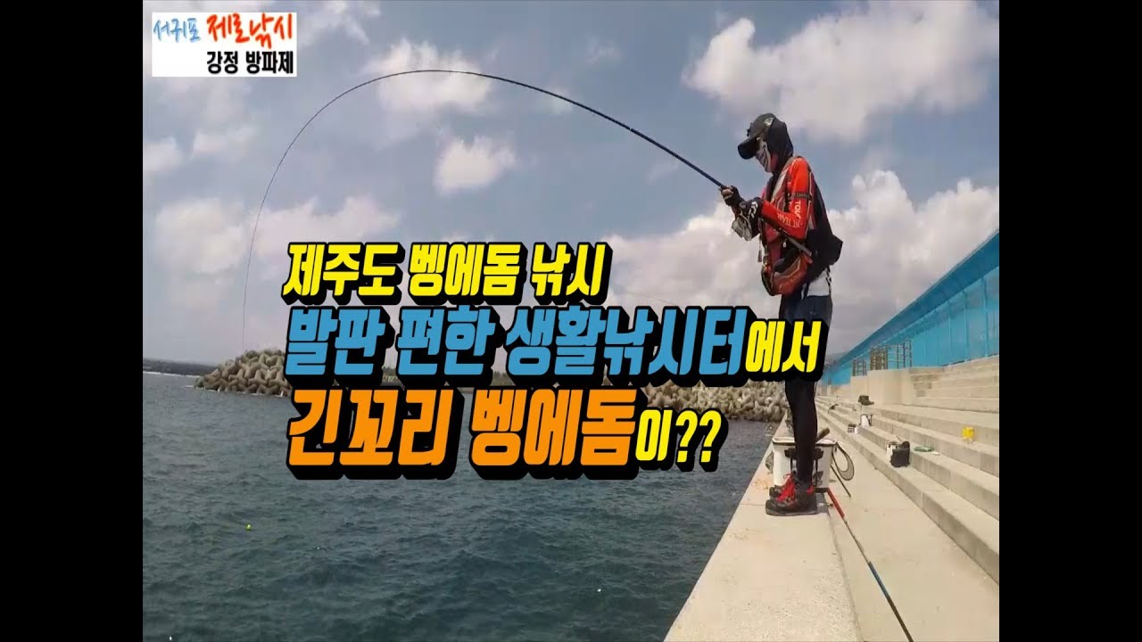 제주도 벵에돔 낚시 - 서귀포 도보낚시포인트 강정방파제 벵에돔낚시