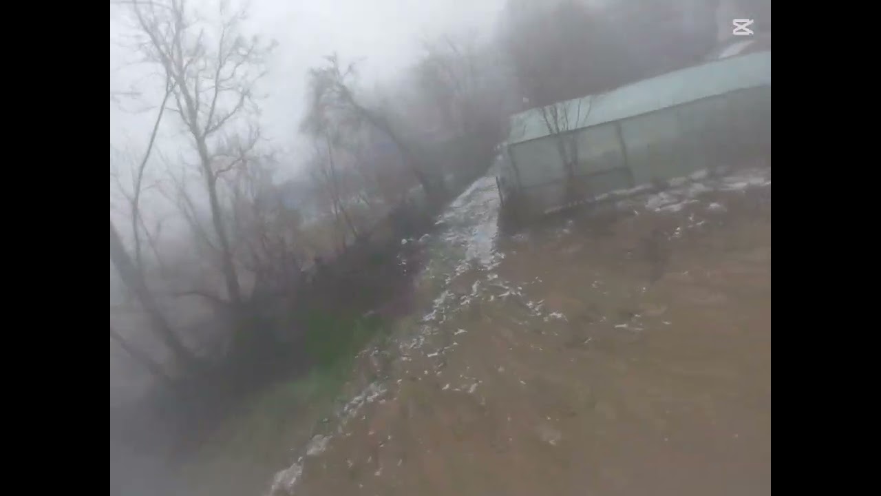 Flywoo Firefly FR18 O4Lite . Winter woods fog exploring #fpv #flywoo #dji 
