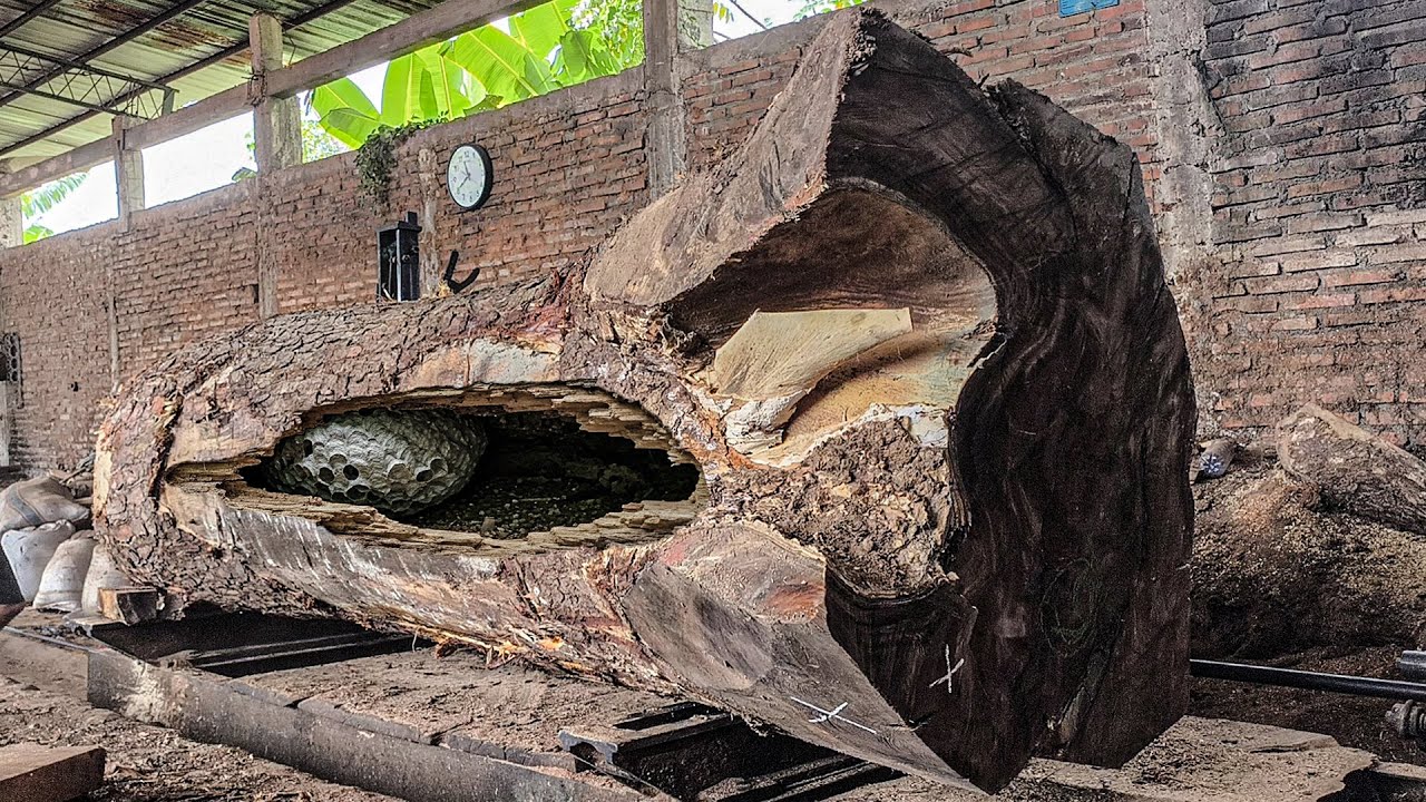 The Most Brutal Monster Log Cutting ‼️ Horror Sawmill in Action