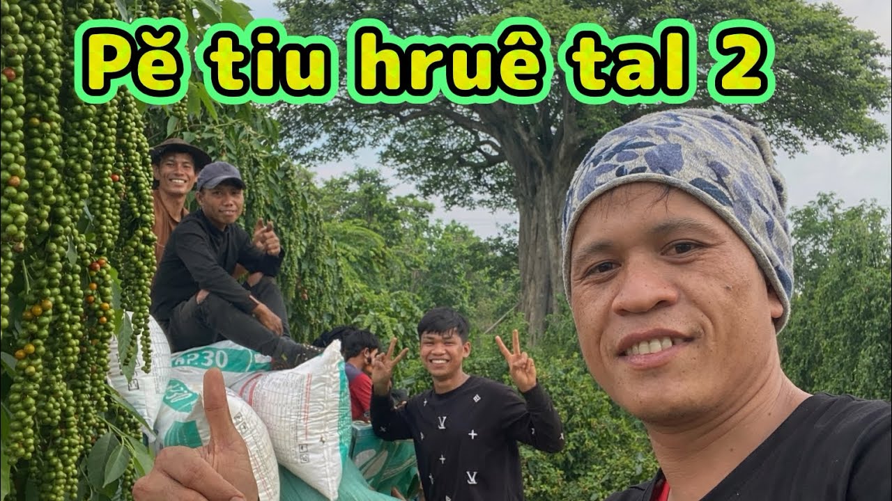 Hruê tal dua ayŏng amai adei hmei pĕ tiu ti anôk anei Đắk Nông - Ama Phây
