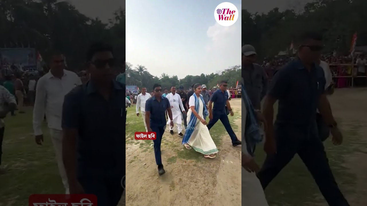 বিদ্রোহী তৃণমূলের পথে সায়নীও#SayaniGhosh #TMCNews #tmcsplit #banglanews #shorts #viral #TheWallNews