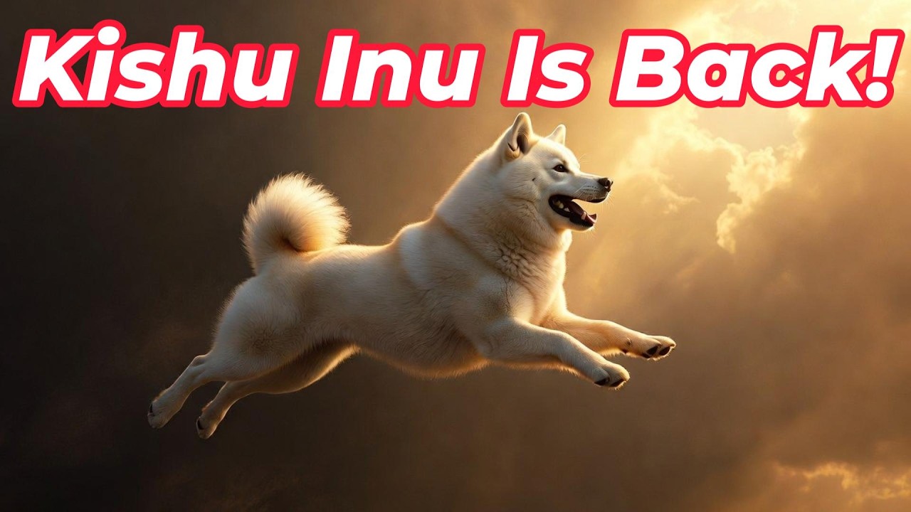 Кишу Ину вернулся из Царства Теней!