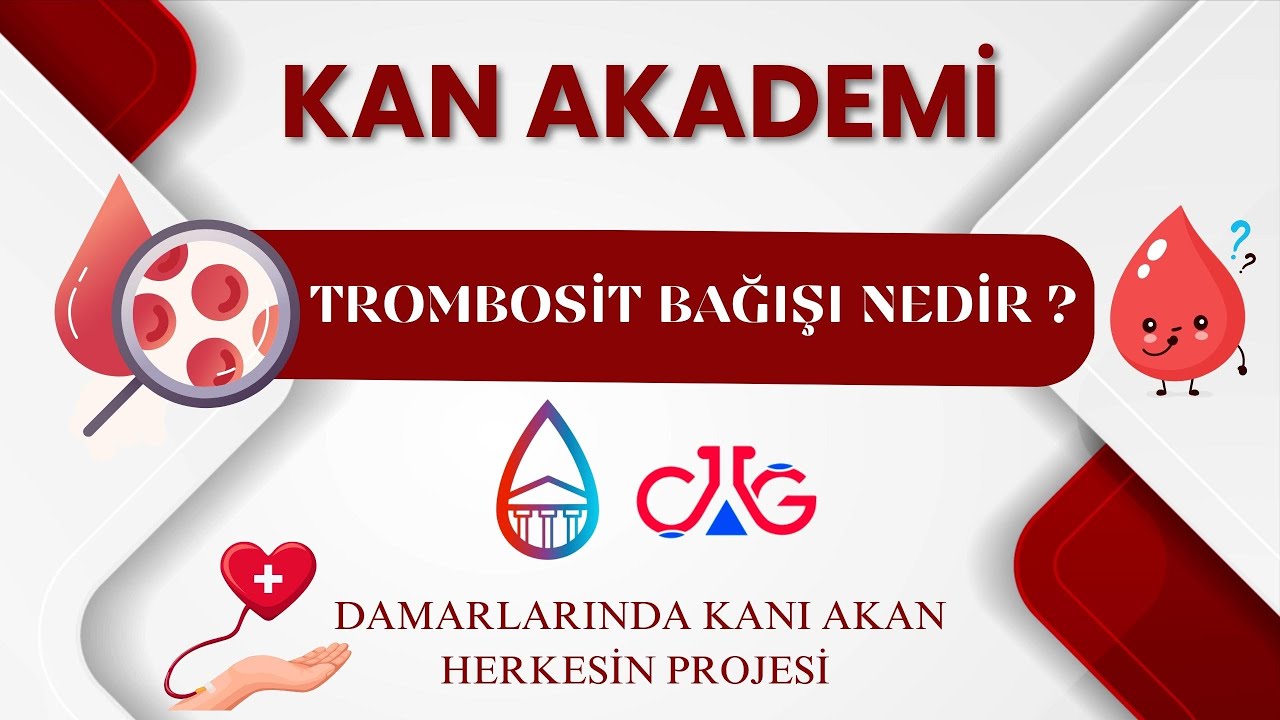 Trombosit Bağışı Nedir? - Ecz. Elif Bölükbaş