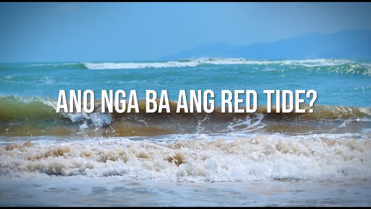 DA-BFAR's RED TIDE: Kaalaman ang Panangga