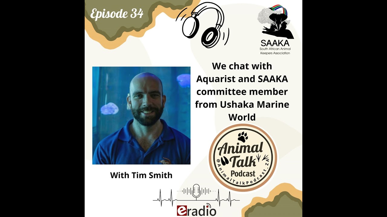 Episode 34 (with Tim Smith)