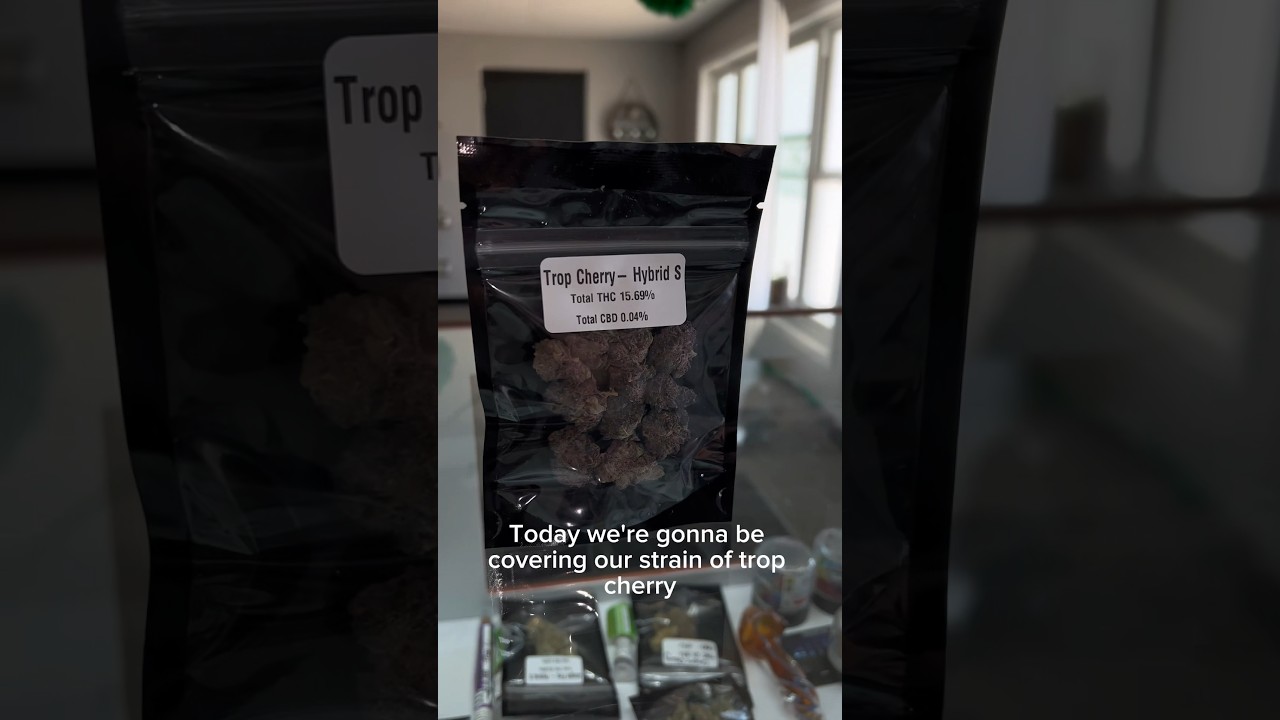 Trop Cherry - Greener Days Recreational Retail