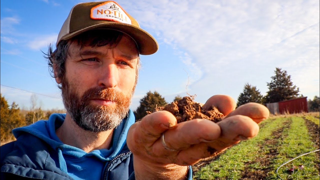How to Test Your Soil Properly