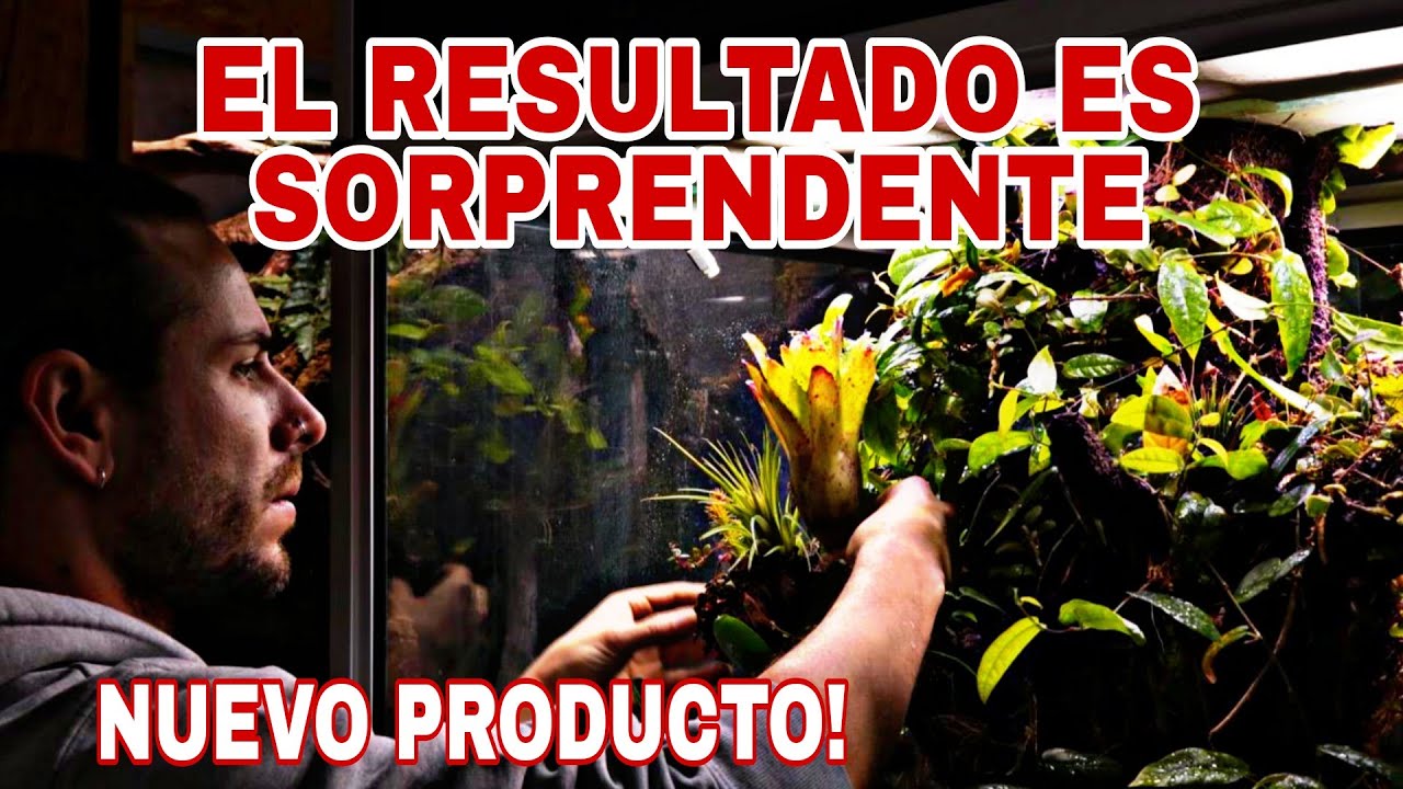 CONSTRUCCIÓN de ACUATERRARIO en 15 MINUTOS! NUEVO PRODUCTO!