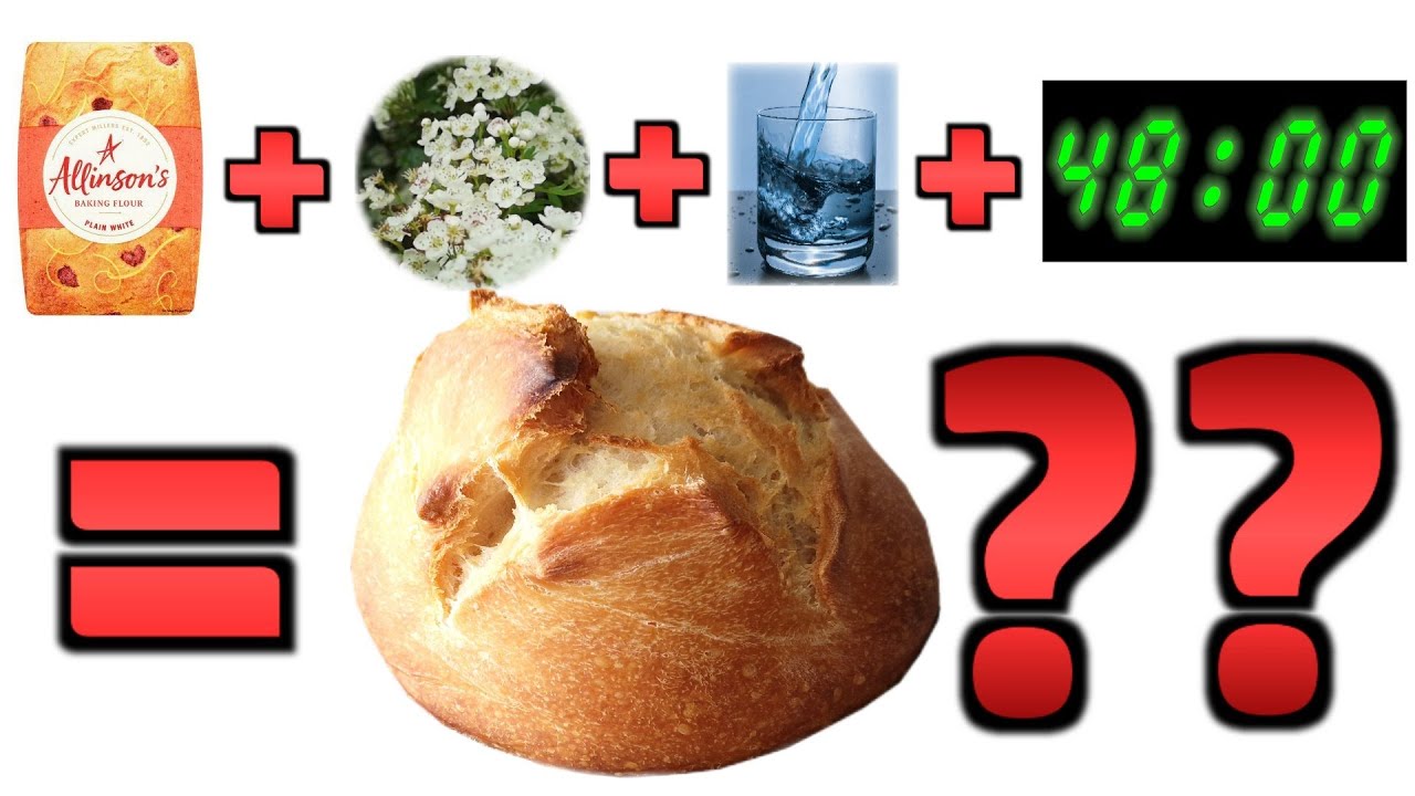 Sourdough Speedrun - Bread in 48 Hours From Scratch - is it Possible?