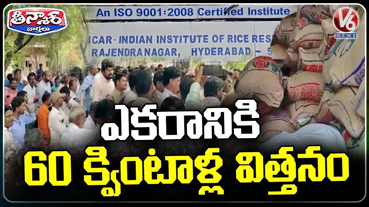 Farmers Rush to Agriculture University to Collect New Variety Paddy Seeds | V6 Teenmaar