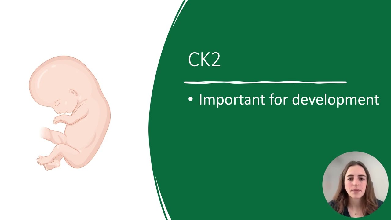 What is Okur-Chung Neurodevelopmental Syndrome (OCNDS)?