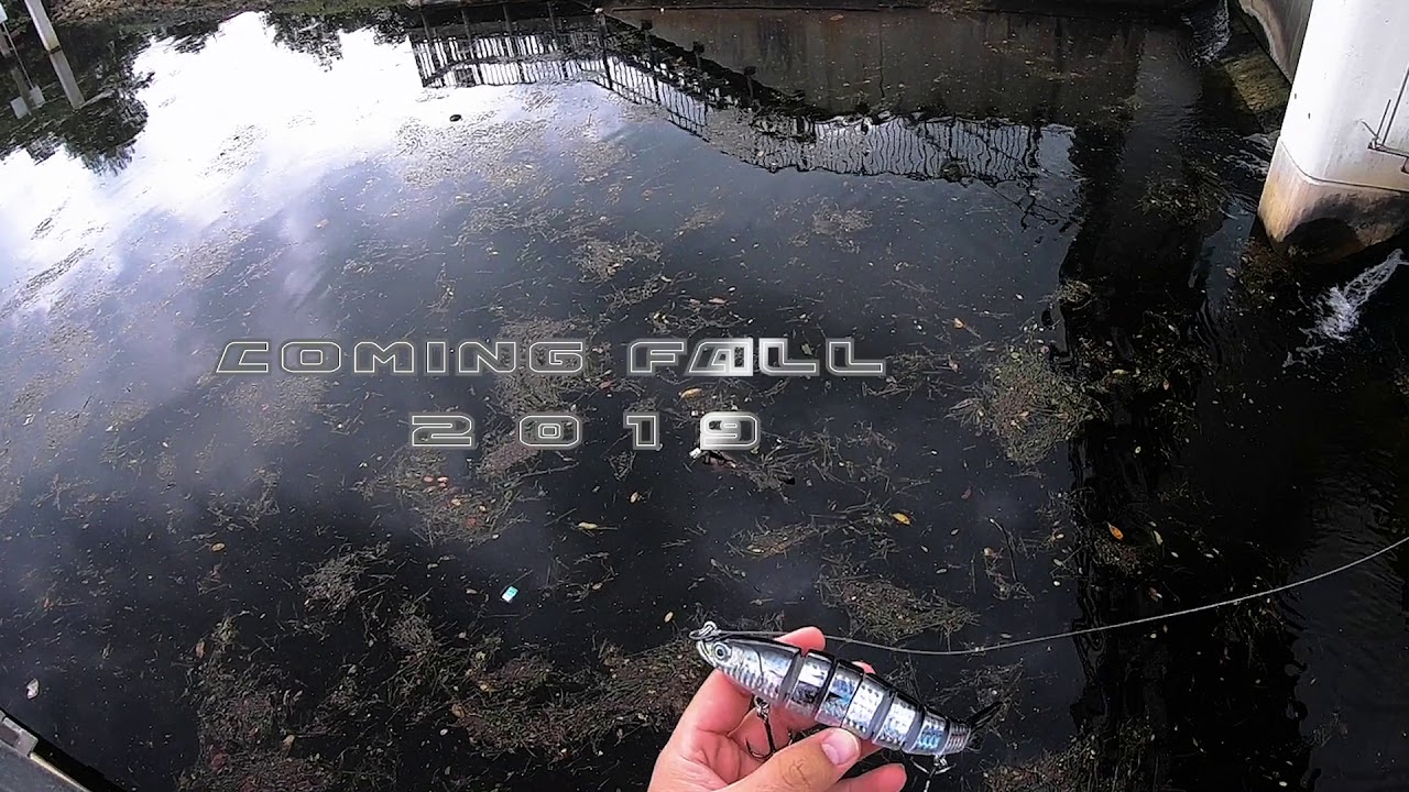 Topwater Snook Explosion on Mezzo Motion Minnow swimbait lures