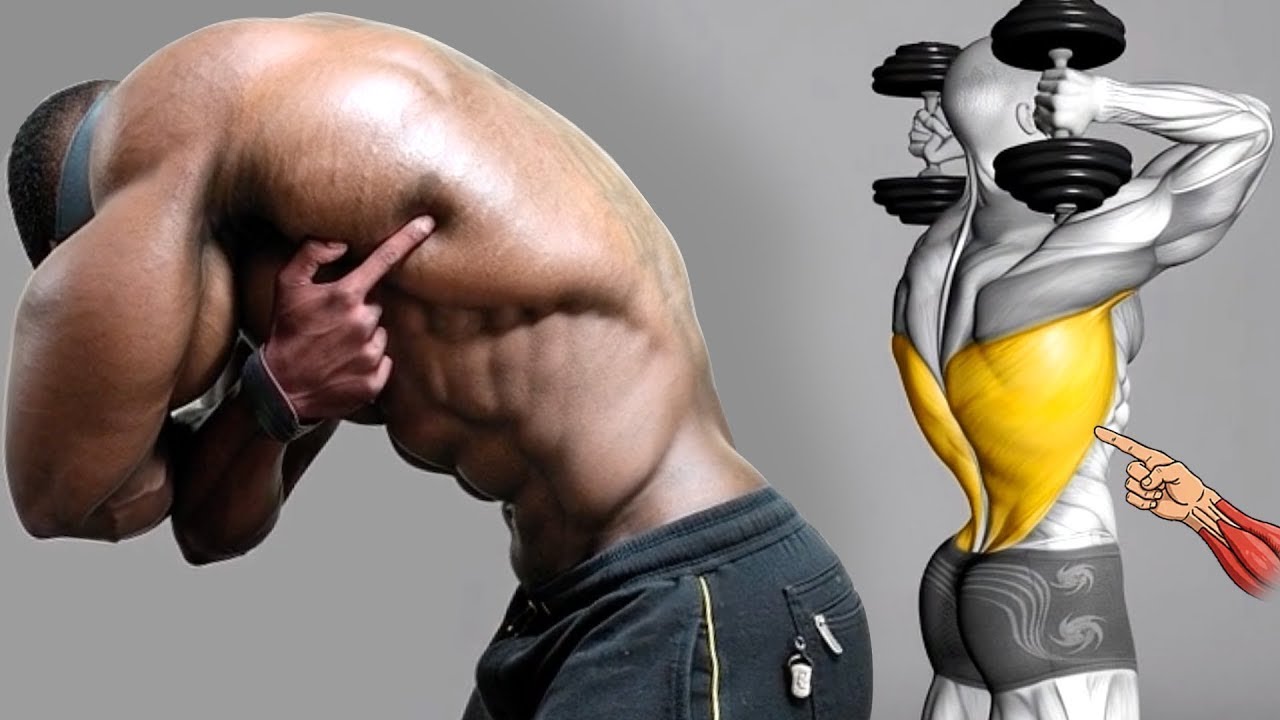 No Gym Needed 🔥 8 Lat Exercises with Dumbbells Only | Build a Wide Back at Home