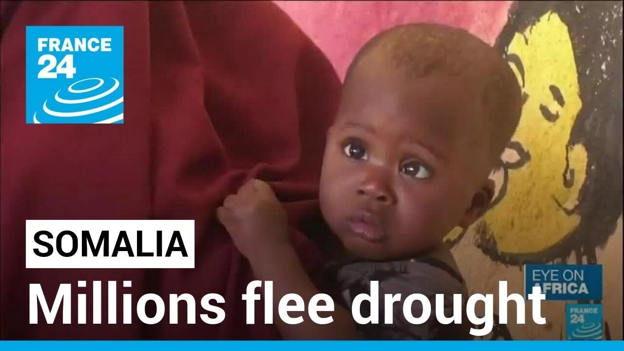 Somalia drought and conflict forces 3.8 million to flee &bull; FRANCE 24 English