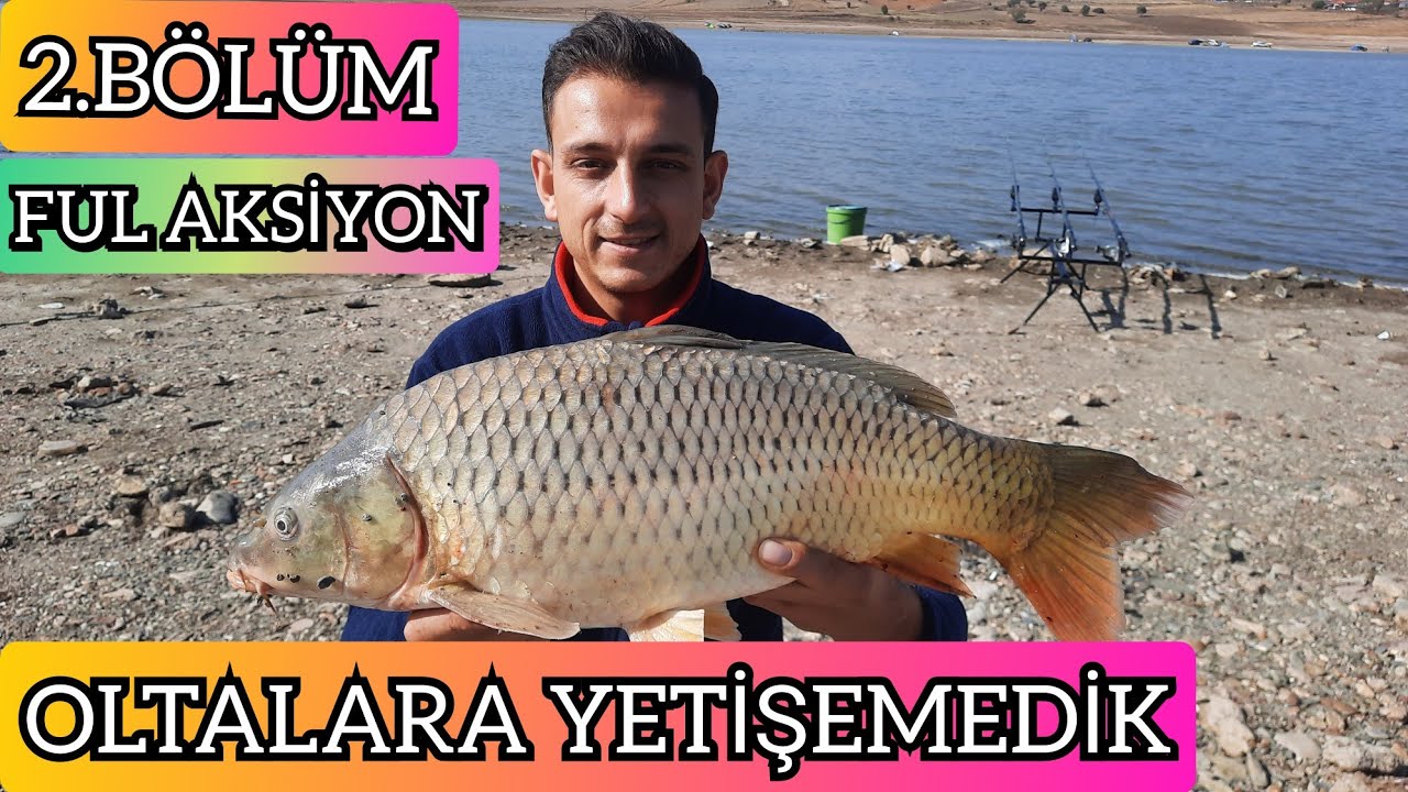 SAZAN AVI. OLTALARA YETİŞEMEDİK. FUL AKSİYON.#sazanavi #oltabalıkçılığı #aksiyon #kamp #carpfishing