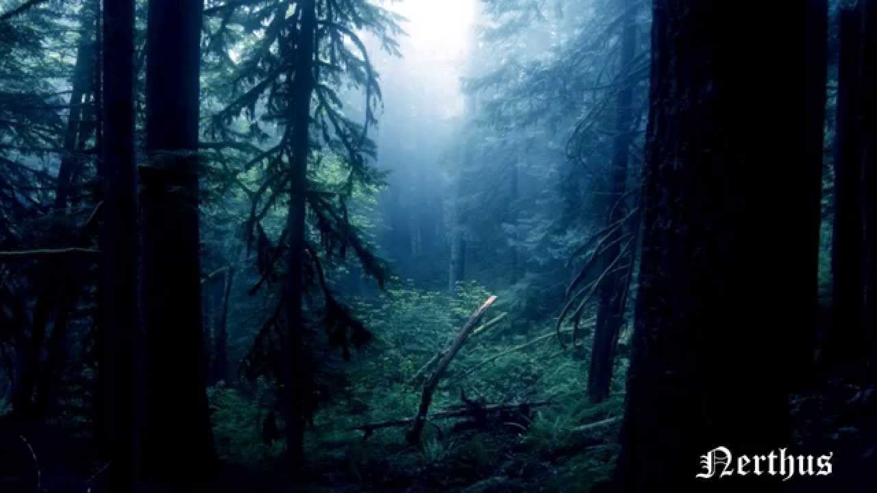 Ulmus - Demo EP