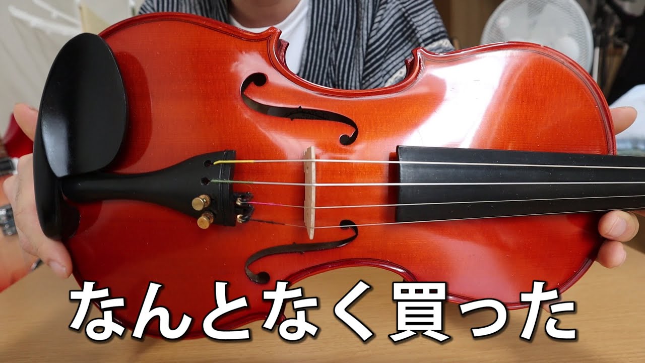 【どうした】バイオリン買った