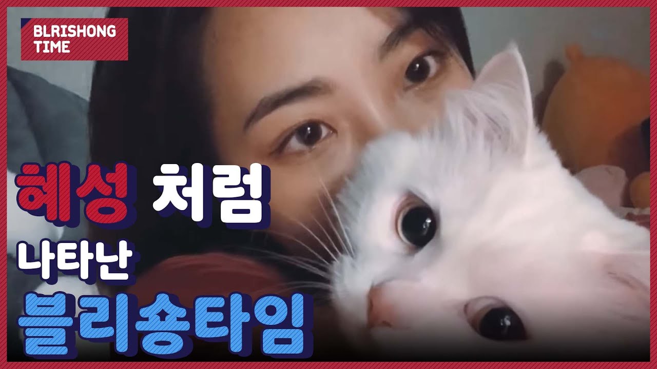 블리숑타임 #1 - 혜성이의 일상 브이로그 | Hyeseong's Vlog