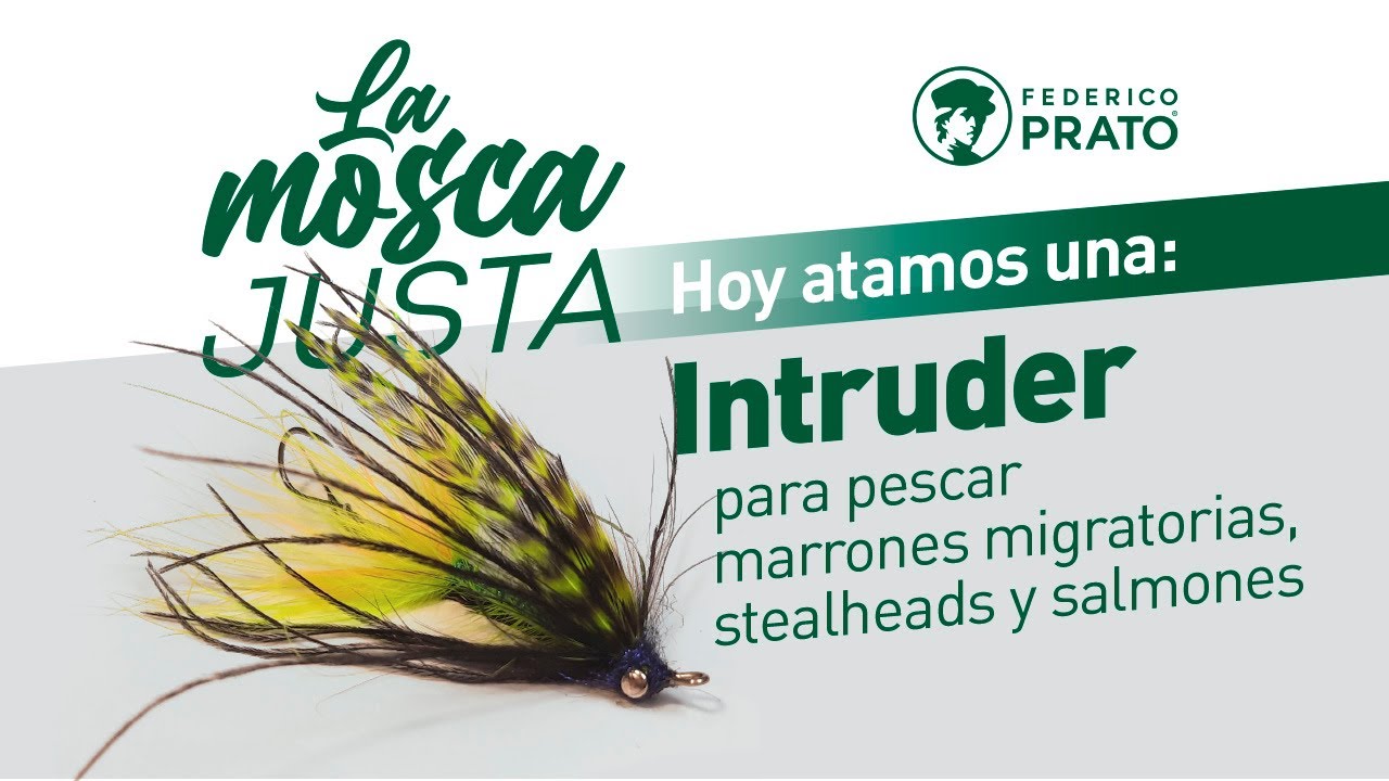 ¿Cómo atar una mosca Intruder Fly? - Tutorial paso a paso - La mosca justa
