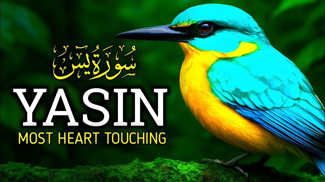 Soulful Recitation to Heal Your Heart: Surah Yasin (Very Emotional) | Zain Abu Kautsar