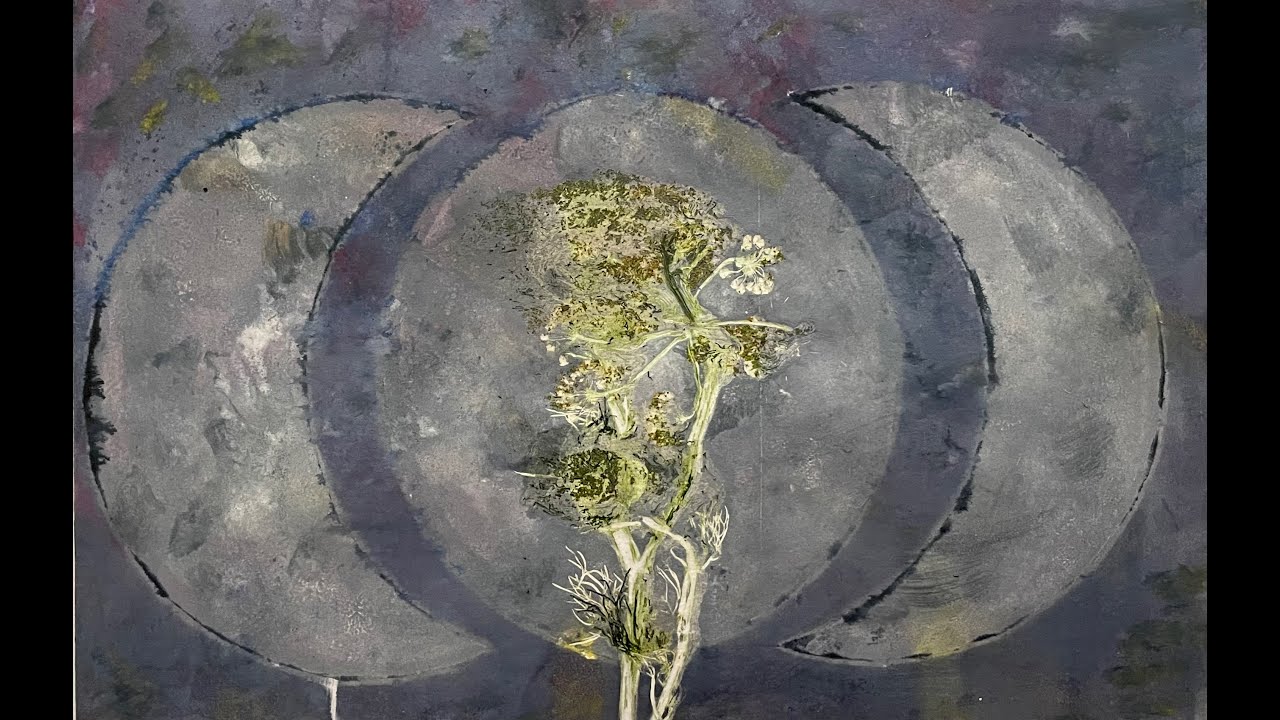 Claire de Lune performed live by Julia Muench