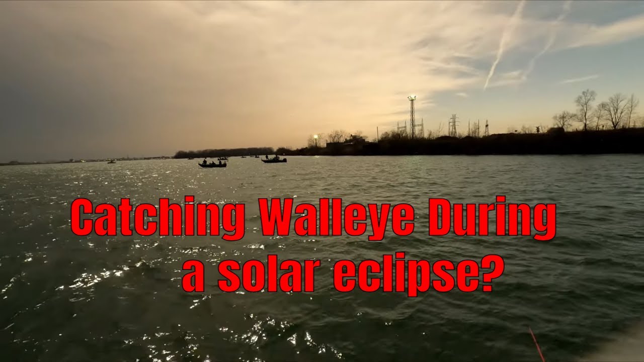 Walleye Fishing The Solar Eclipse! (Detroit River 3 Man Limit!)