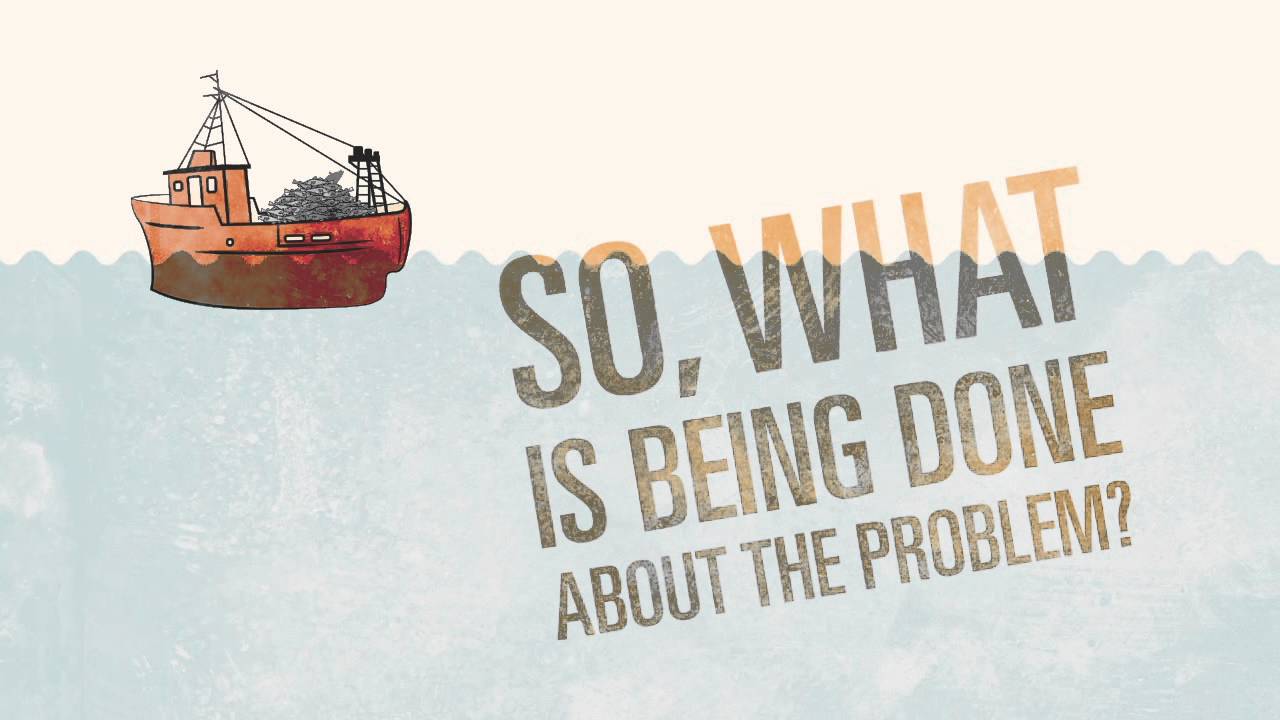 Plenty More Fish in the Sea? Discards in the EU (Common Fisheries Policy)