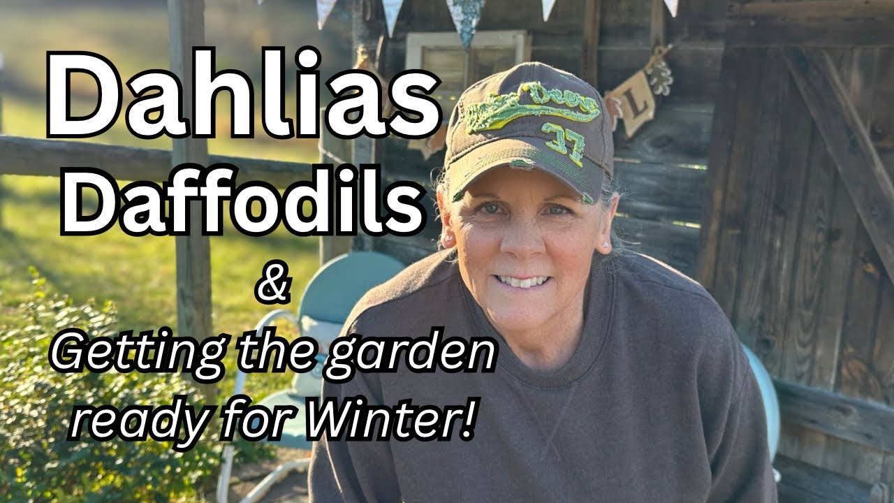 Planting Daffodils/Winterizing Dahlias & Mini Garden Tour! ➕Cleanup 