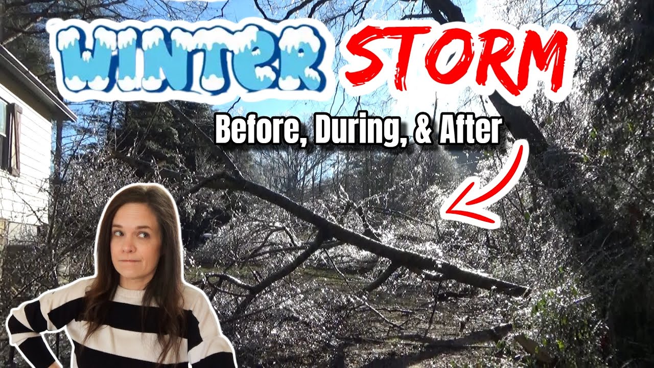 Trees & Power Down Everywhere! 😞 Taco Chili & Timeline Vlog of the January Winter Storm for Georgia