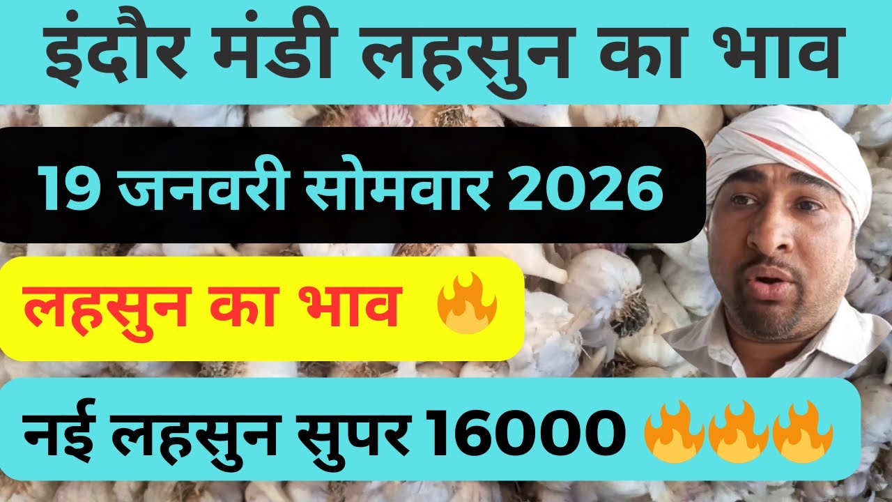 indore mandi lahsun ka bhav          #lahsunaajkabhav  #garlicpricetoday 