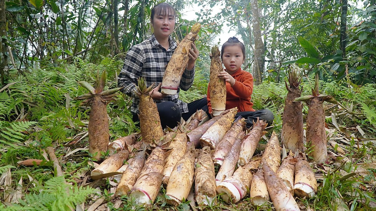 FULL VIDEO: Harvesting the first bamboo shoots of the season and taking them to sell | Tương Thị Mai