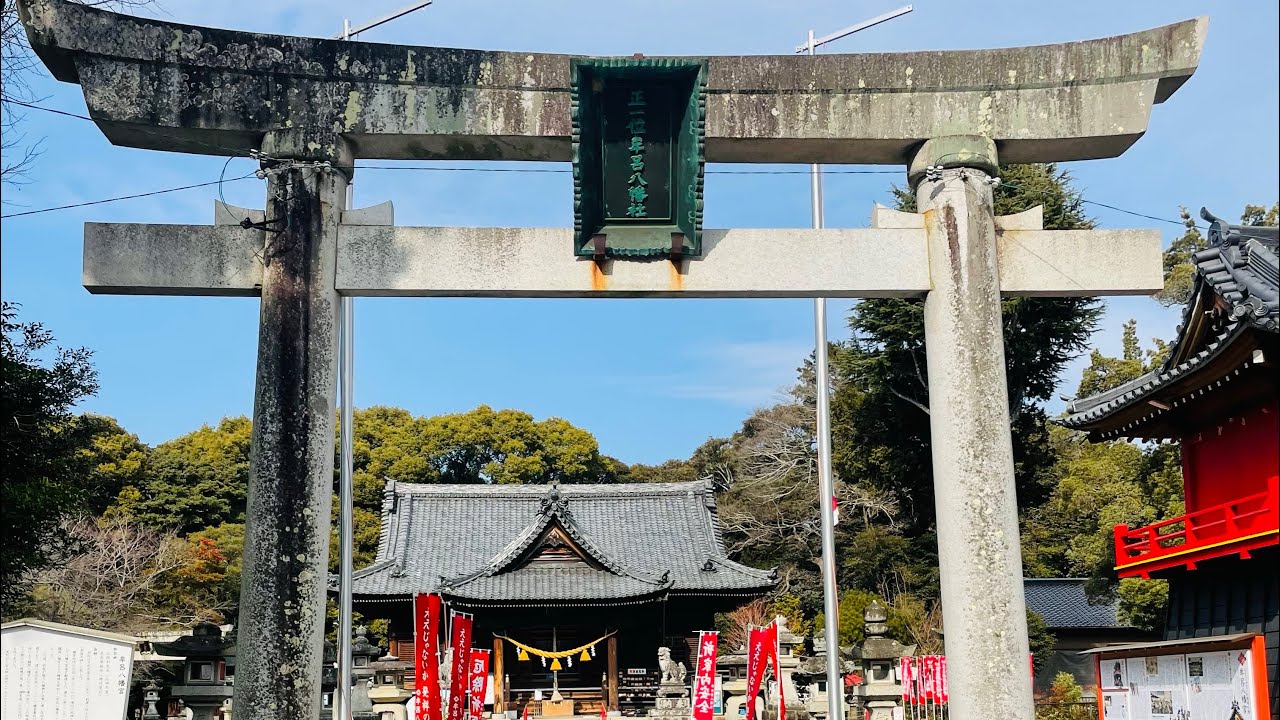 Peaceful Japanese Shrine with a Temple Cat 🐾 | Nature Sounds Only