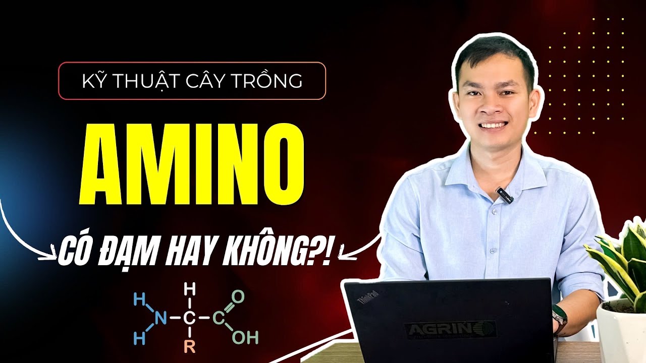 Agrino | AMINO CÓ ĐẠM HAY KHÔNG CÓ ĐẠM?!
