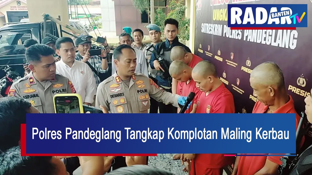 Polres Pandeglang Tangkap Komplotan Maling Kerbau | RADAR BANTEN