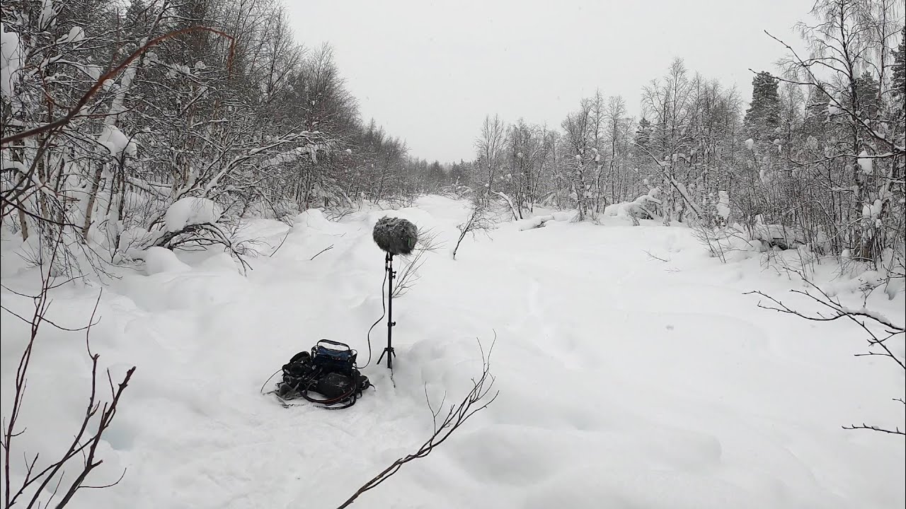 Field Recording Lapland Ep. 2: Snow on the Water
