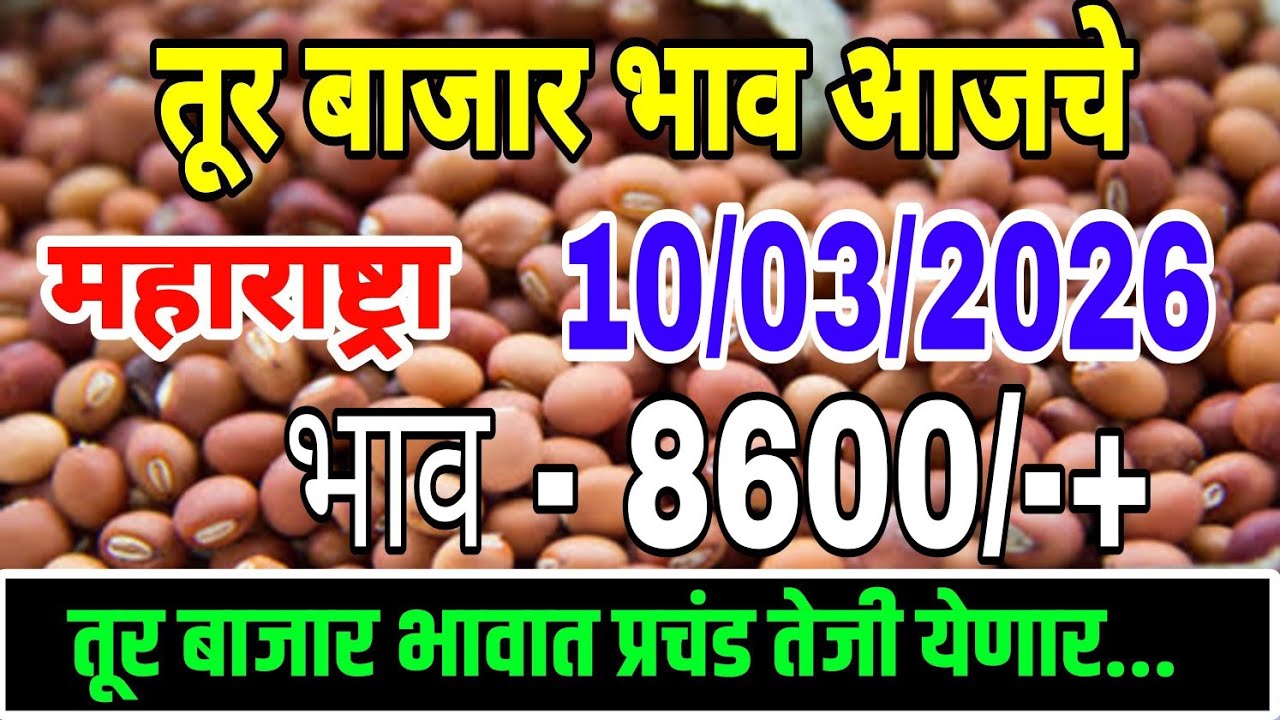 तूर बाजार भाव वाढले 10 मार्च 2026 / Tur bhazar bhav today / महाराष्ट्रा तूर भाव असे...तेजी येणार