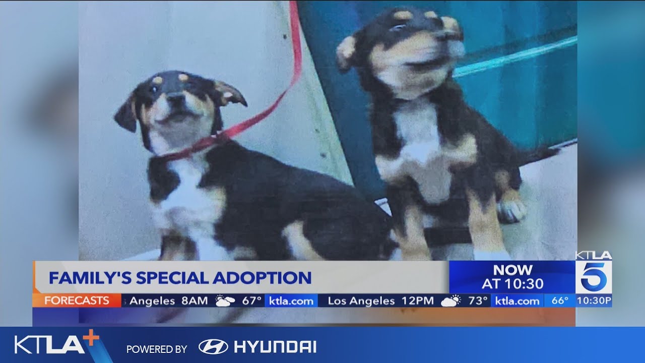 SoCal family's special adoption