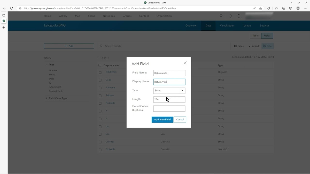 ArcGIS OnLine - How to set up a domain.... well a List really...