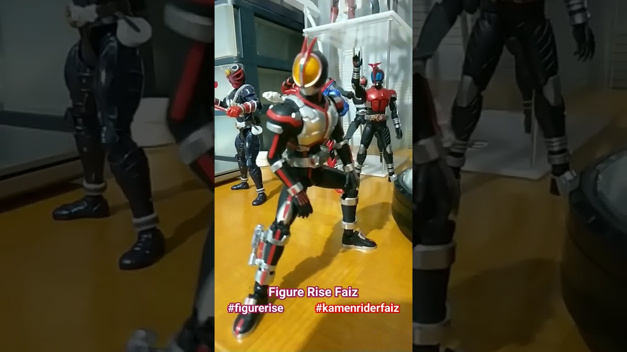 Figure Rise Faiz                      