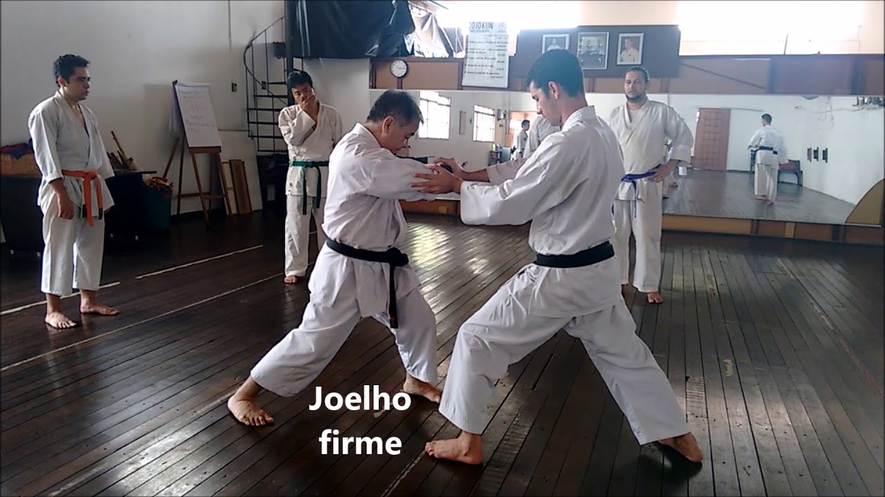 KARATE RAIZ - Ci&ecirc;ncia - Arte - Sabedoria